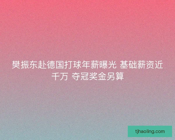 樊振东赴德国打球年薪曝光 基础薪资近千万 夺冠奖金另算